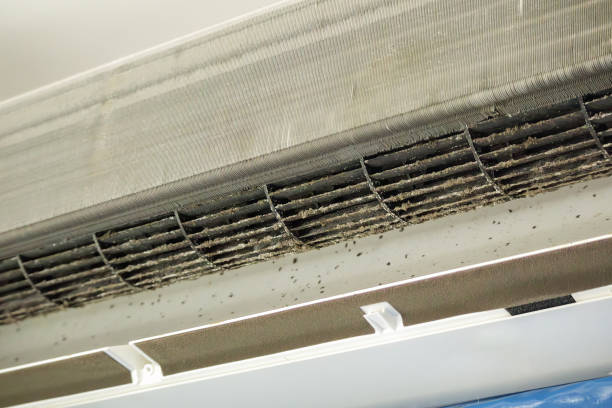 Best HVAC Air Duct Cleaning  in Arlington, GA